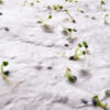 ASIDE - Image 4