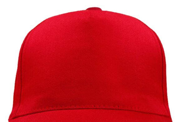 SOL'S BUZZ - FIVE PANEL CAP